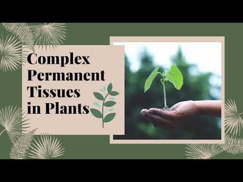 Complex Permanent Tissues | Xylem & Phloem | Plant Tissues | Biology