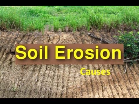 Soil Erosion Causes & Soil Conservation -Video for Kids