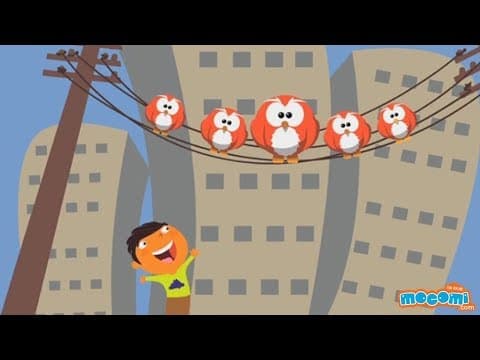 How do Birds Sit Safely on Power Lines? (With Narration) | Educational Videos by Mocomi Kids