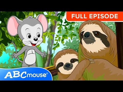 🌳 Explore the Monteverde Cloud Forest | ABCmouse FULL EPISODE | Journey Through the Misty Forest 🌿