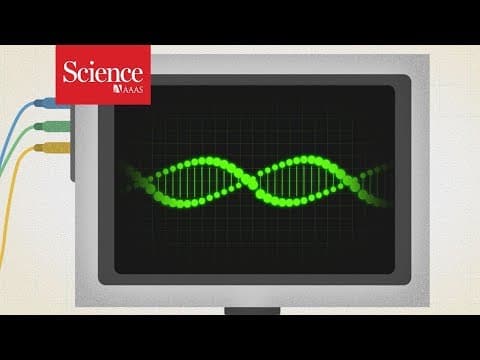 Science Explains: Undead genes. Why do some genes turn on after death?