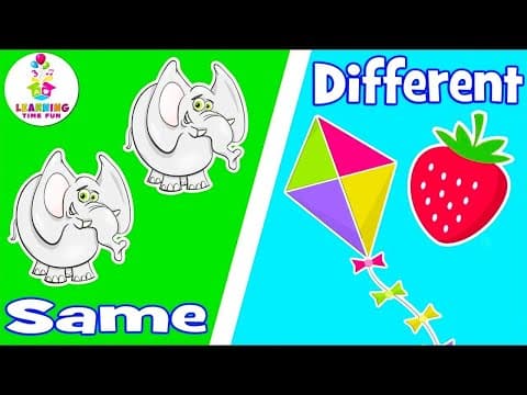Same and Different for Kids (Compare and Contrast with a Quick Quiz)