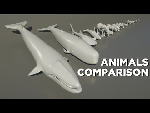 Animal size in perspective