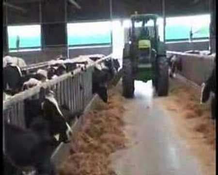Dairy Farm Visit