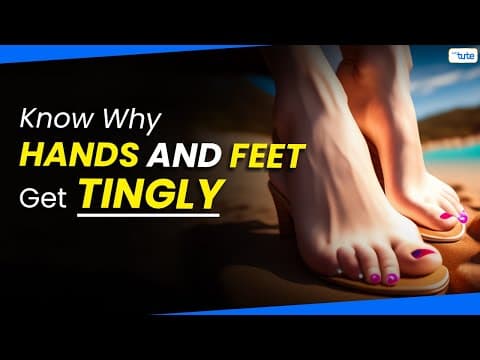 Causes of Tingling in Hands & Feet | Reason Behind Tingling In Hands & Feet