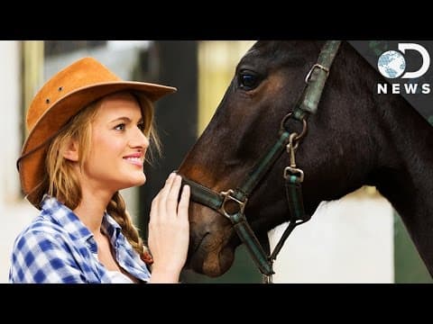 Did Horses Evolve To Read Human Emotions? - YouTube
