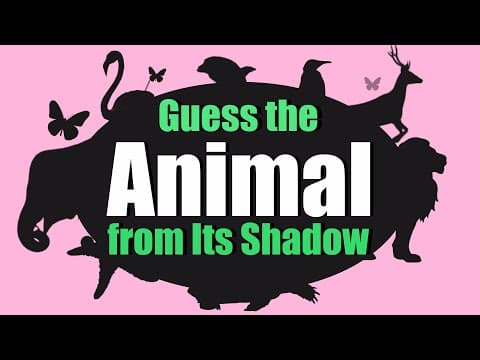 Guess the Animal by Its Shadow! | Animal Shadows Quiz for Kids