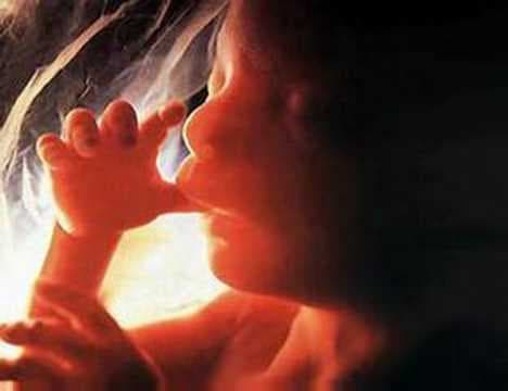 Here's what to expect during weeks thirteen through sixteen in your pregnancy.