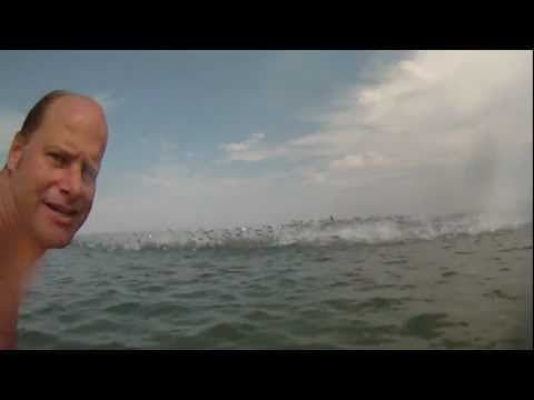 Amazing jumping fish caught with a GoPro video camera Hundreds of them Up close