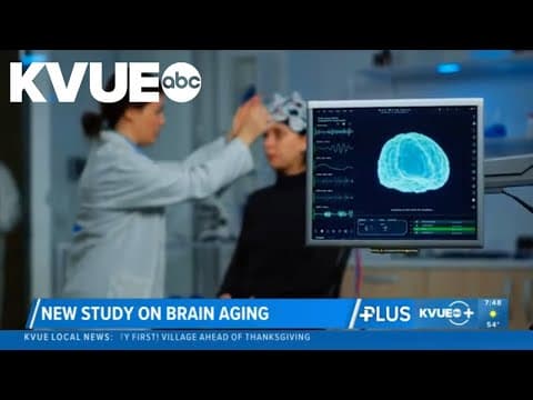 New study shows human brain has 4 'turning points'