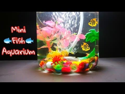 Make a Fish Aquarium at Home - Make a Fish Aquarium with Waste Material