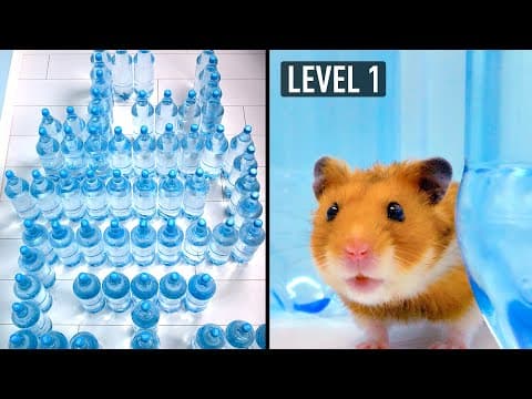 Amazing water bottle maze for a cat and a hamster