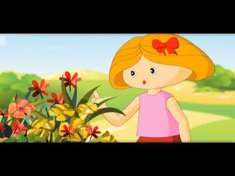 Parts of a Flower -Functions ...for Kids