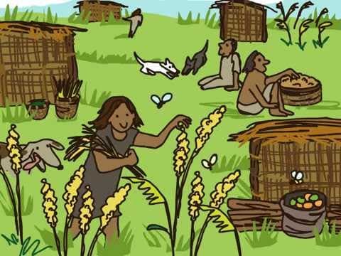 History of Agriculture