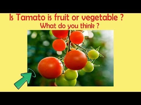 Is Tomato is fruit or vegetable ? | Most brilliant IAS Interview Questions