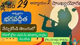 Bhagavad Gita chapter 2 verse 29||sankyayoga|| భగవద్గీత 2వ అధ్యాయం శ్లోకం 29|| divine touch telugu