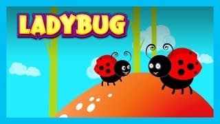 LADYBUG - Nursery Rhymes For Kids || English Poems For Kids - Animated Videos