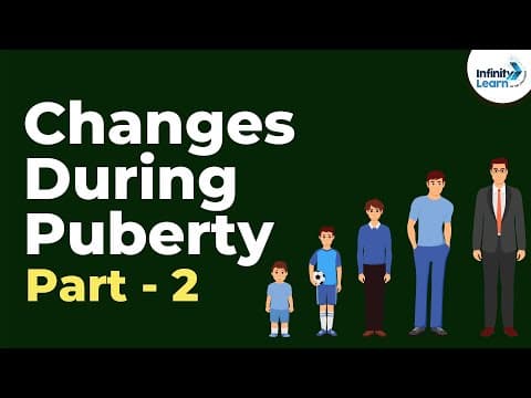 Changes during puberty