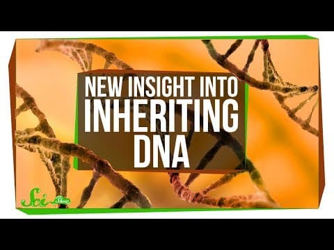 You Can Inherit Mitochondrial DNA from Both Parents! | SciShow News - YouTube