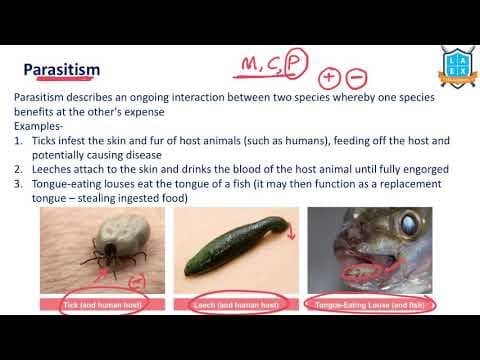 What is Parasitism ? || Parasitism అంటే ఏమిటి?