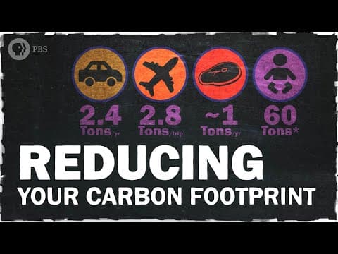 What Can You Actually Do About Climate Change