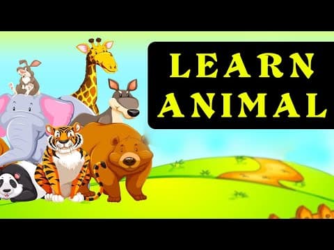 A to Z animals name-Learn animals name with spelling-Animals name for kids learning