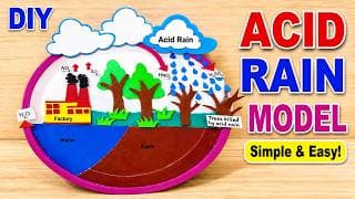 acid rain model for school science fair / exhibition