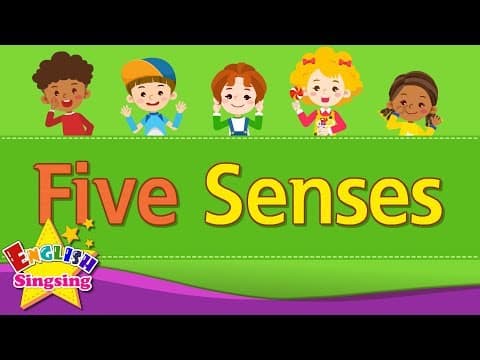 Kids vocabulary - Five Senses - Learn English for kids