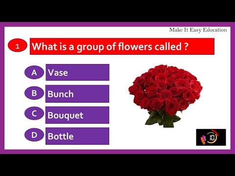 QUIZ ON A GROUP OF THINGS || COLLECTIVE NOUNS OF THINGS || GENERAL KNOWLEDGE