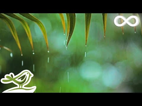 Relaxing Piano Music & Soft Rain Sounds For Sleep & Relaxation