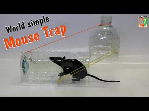 Easy Mouse/Rat trap making with bottle || Life hacks