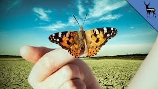 Radiation In Japan Is Hurting Future Wildlife