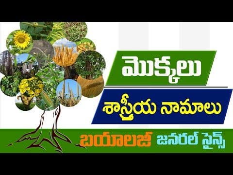 #Scientific names of plants :జనరల్ సైన్స్ బయాలజీ :General science in telugu : biology bits