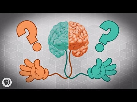 Why Are Some People Left-Handed?
