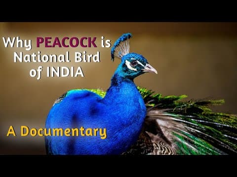 Why peacock is national bird of india