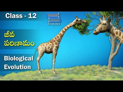 జీవ పరిణామం - Biological Evolution | Evolution | Biology Telugu