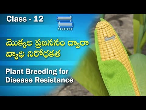 మొక్కల ప్రజననం – Plant breeding for Disease resistance | Biology Telugu