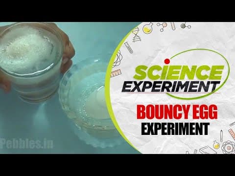 Science Experiment - 56 | Bouncy Egg Experiment | Chemistry Experiment