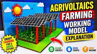 agrivoltaics farming working model explanation - integrated farming