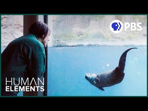 What does an animal welfare scientist do