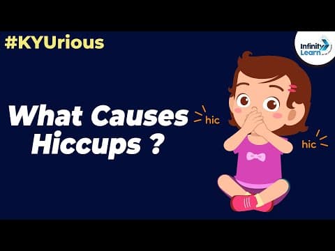 Kyu box season 3 qpisode - what causes hiccups