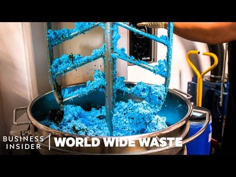 Do Shampoo Bars Really Reduce Trash? | World Wide Waste | Business Insider