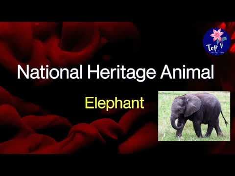 India National Symbols in English | indian National symbols with Pictures for Kids |NationalSymbols