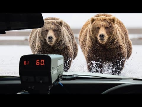 These are 10 fastest land animals on this planet