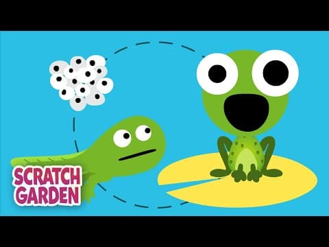 The Life Cycle Song-Science Songs