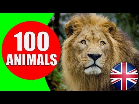 Animals for Kids to Learn - 100 Animals for Kids Toddlers and Babies