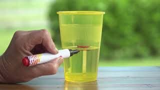 Kid Experiments |Evaporation Experiment