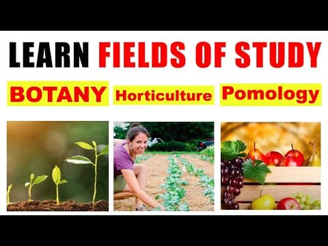 Learn Fields of Study - General Knowledge Video - Basic Educational video