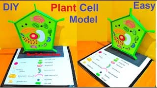 plant cell model 3d making using cardboard | biology project | diy science project