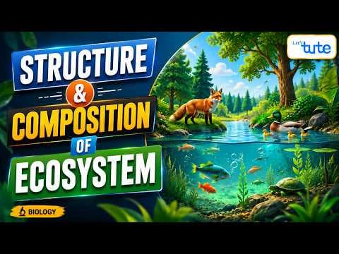 Structure & Composition of Ecosystem | Environmental Science
